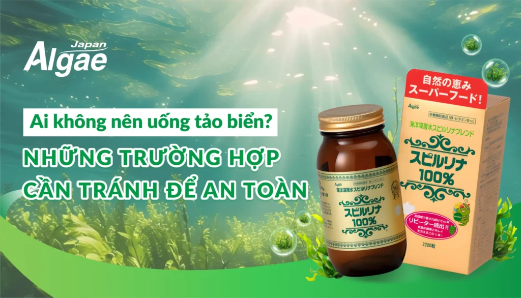 Ai không nên uống tảo biển? Những trường hợp cần tránh để an toàn
