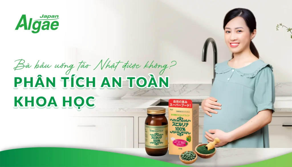 Bà bầu uống tảo Nhật được không? Phân tích an toàn khoa học