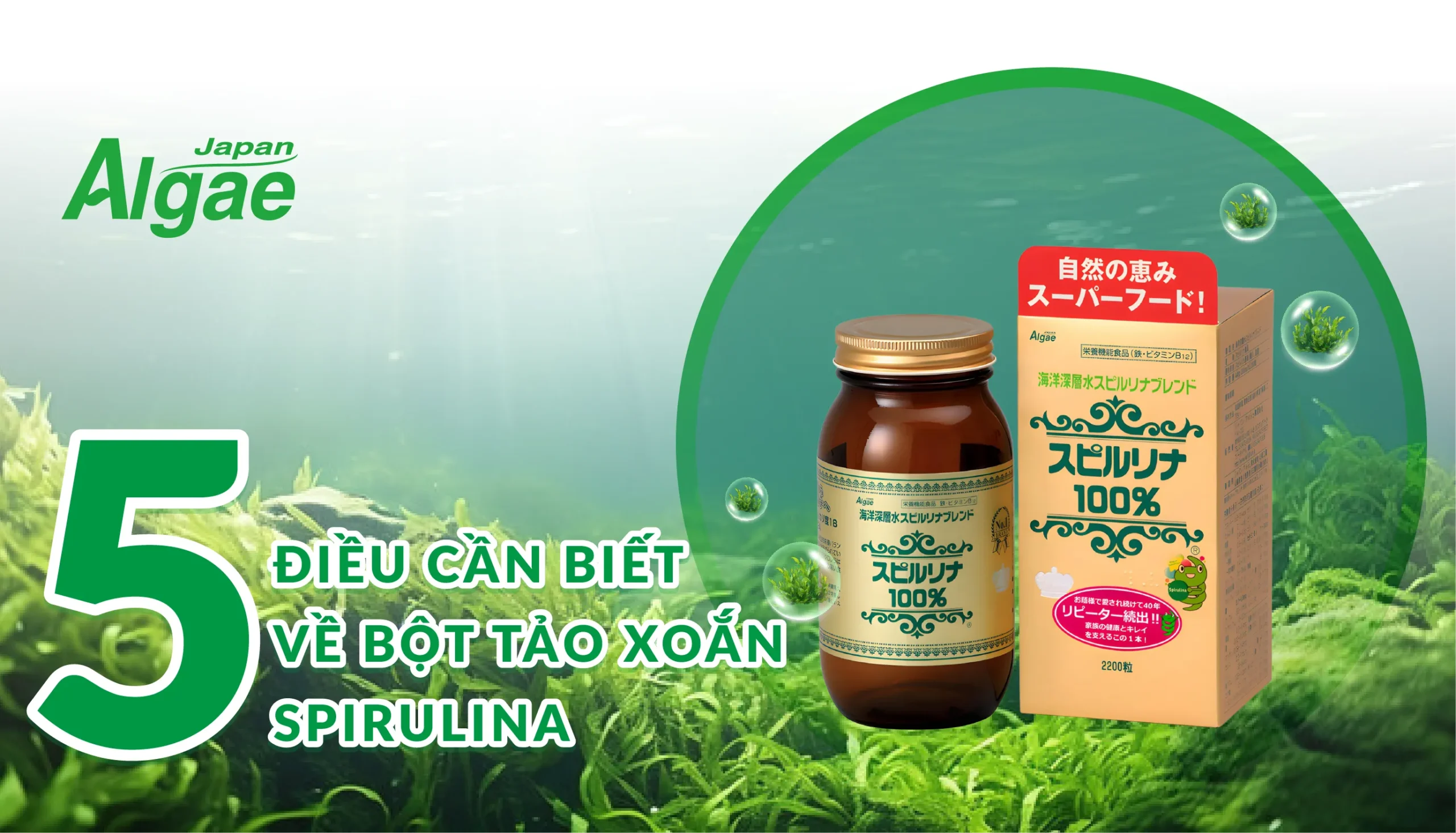 dieu-can-biet-ve-bot-tao-xoan