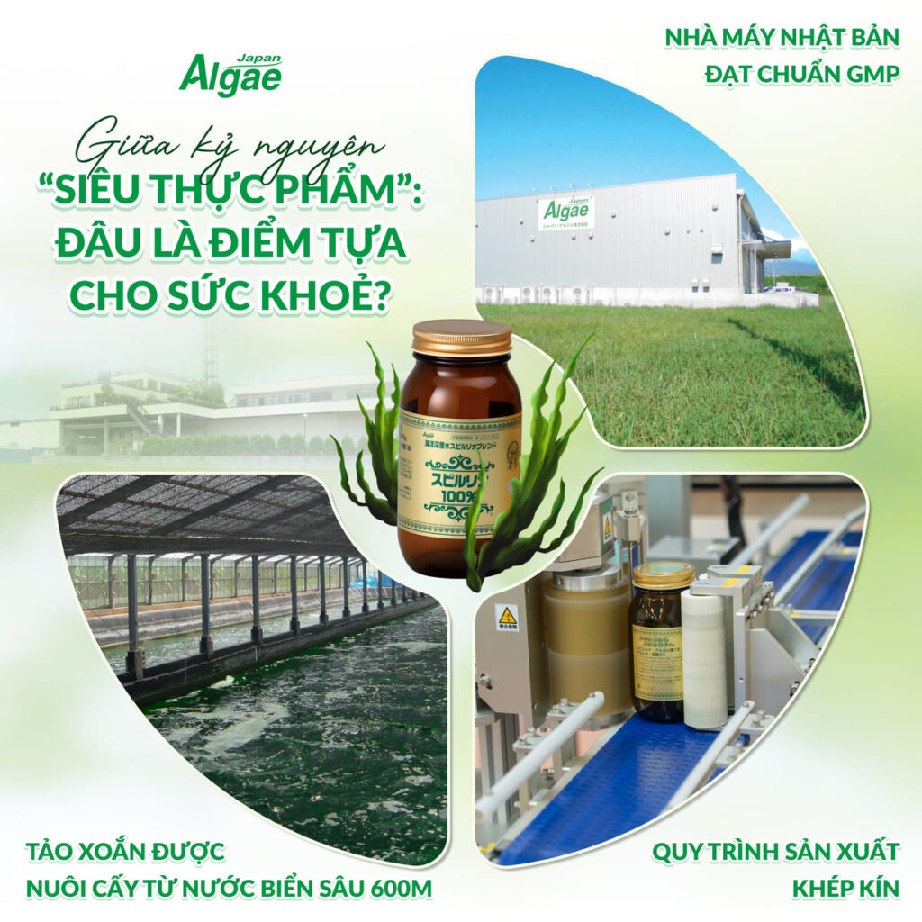 Tảo xoắn 100% tinh khiết từ công nghệ Nhật Bản Japan Algae