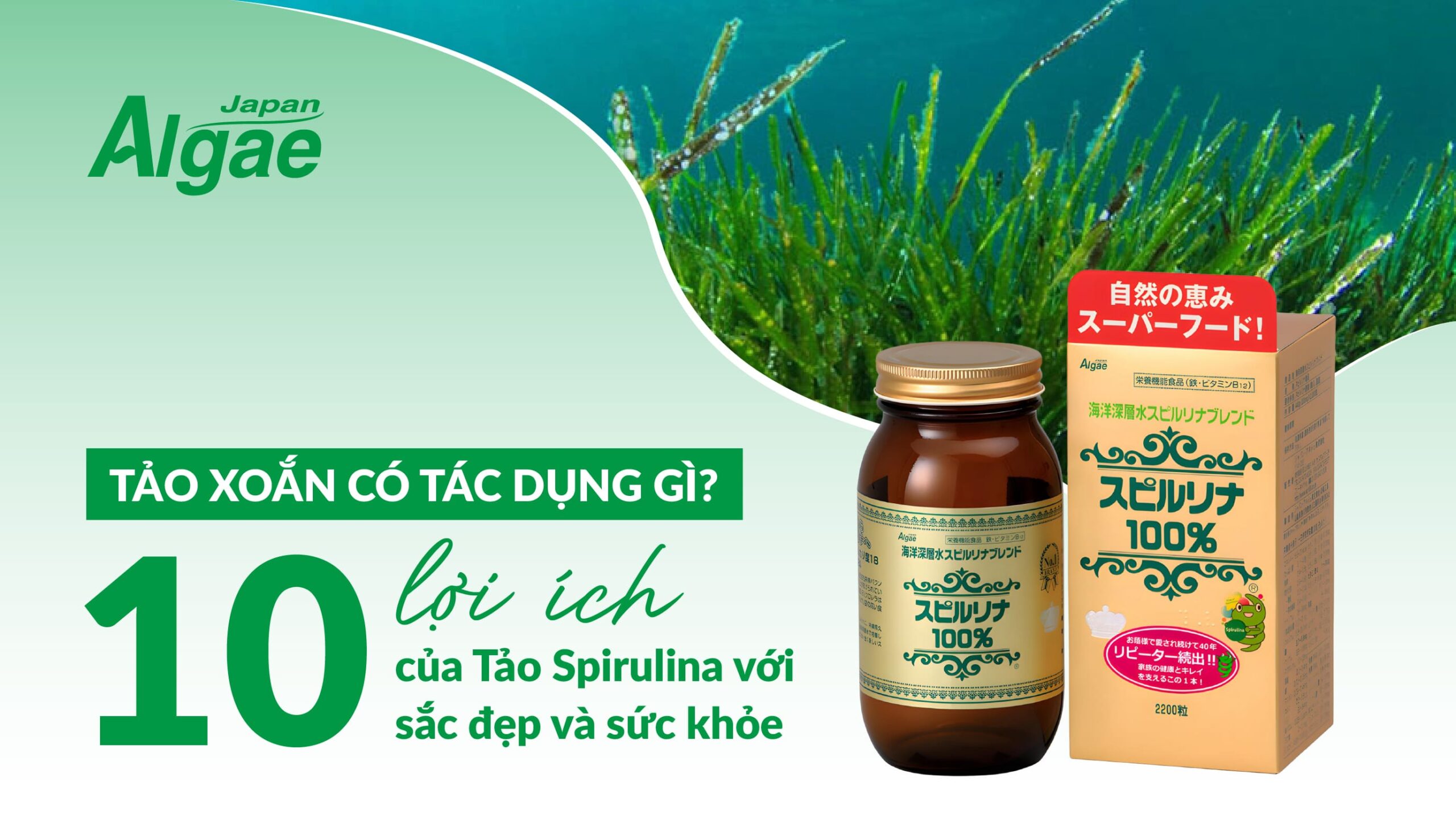 Tảo xoắn có tác dụng gì 10 lợi ích của Tảo Spirulina với sắc đẹp và sức khỏe