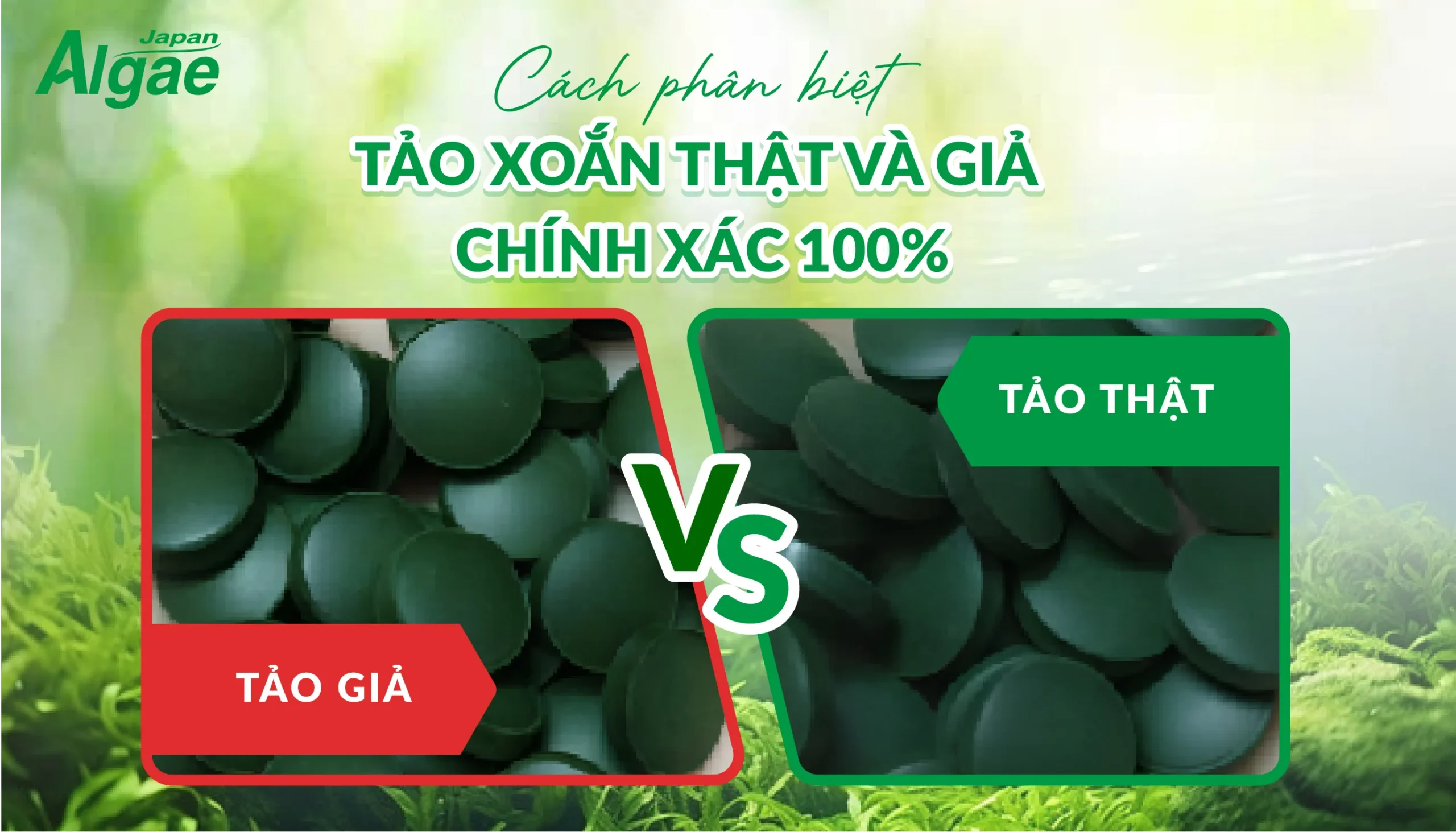 cach-phan-biet-tao-xoan-that-va-gia