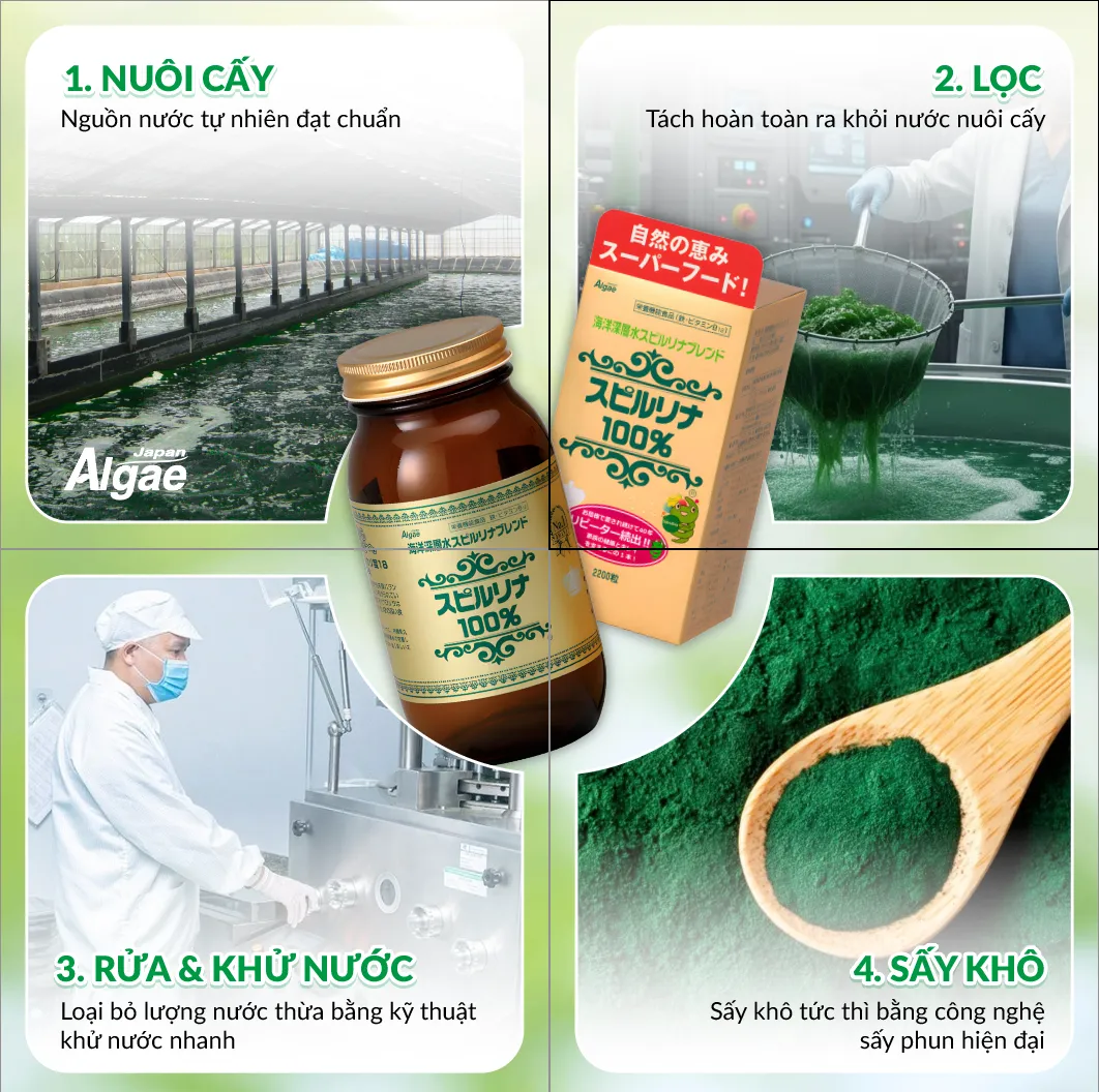 quy-trinh-khep-kin-san-xuat-tao-xoan-spirulina-01