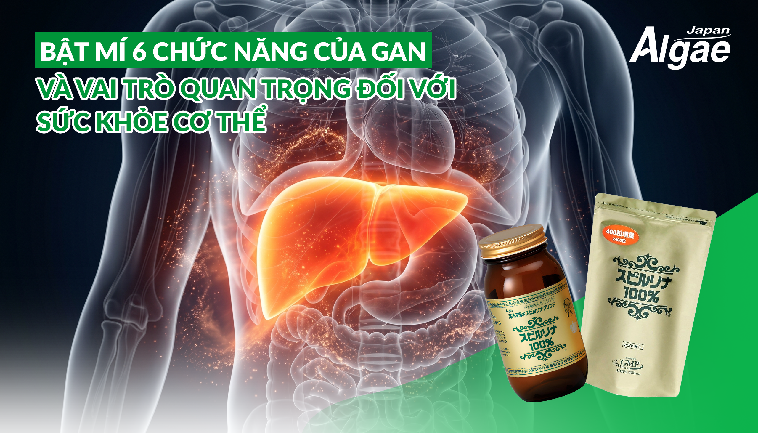 6-chuc-nang-cua-gan-1