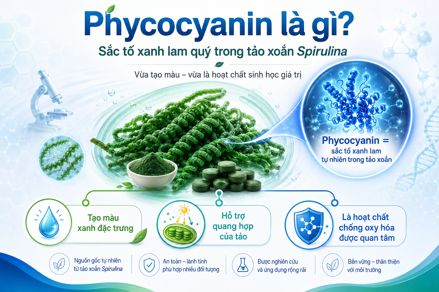 Phycocyanin Là Gì? 