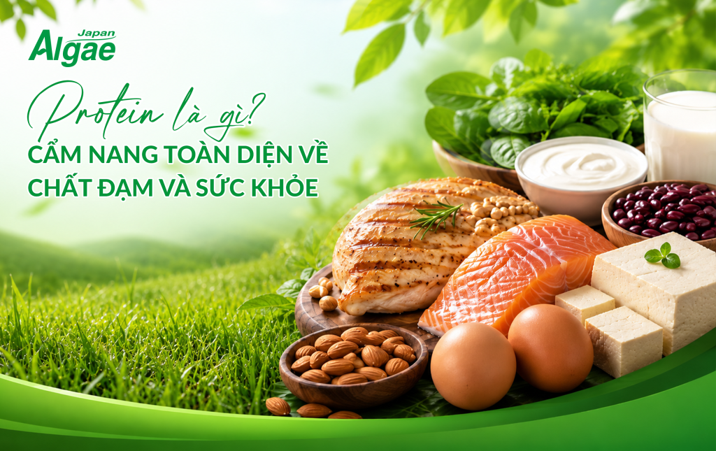 Protein là gì