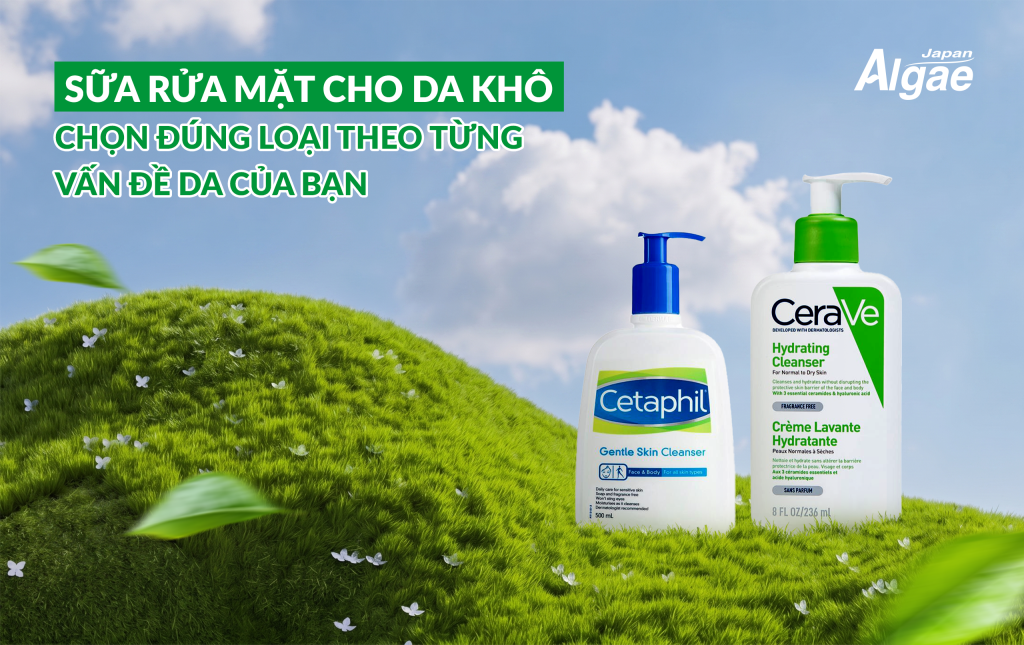 Sữa rửa mặt cho da khô – Chọn đúng loại theo từng vấn đề da của bạn