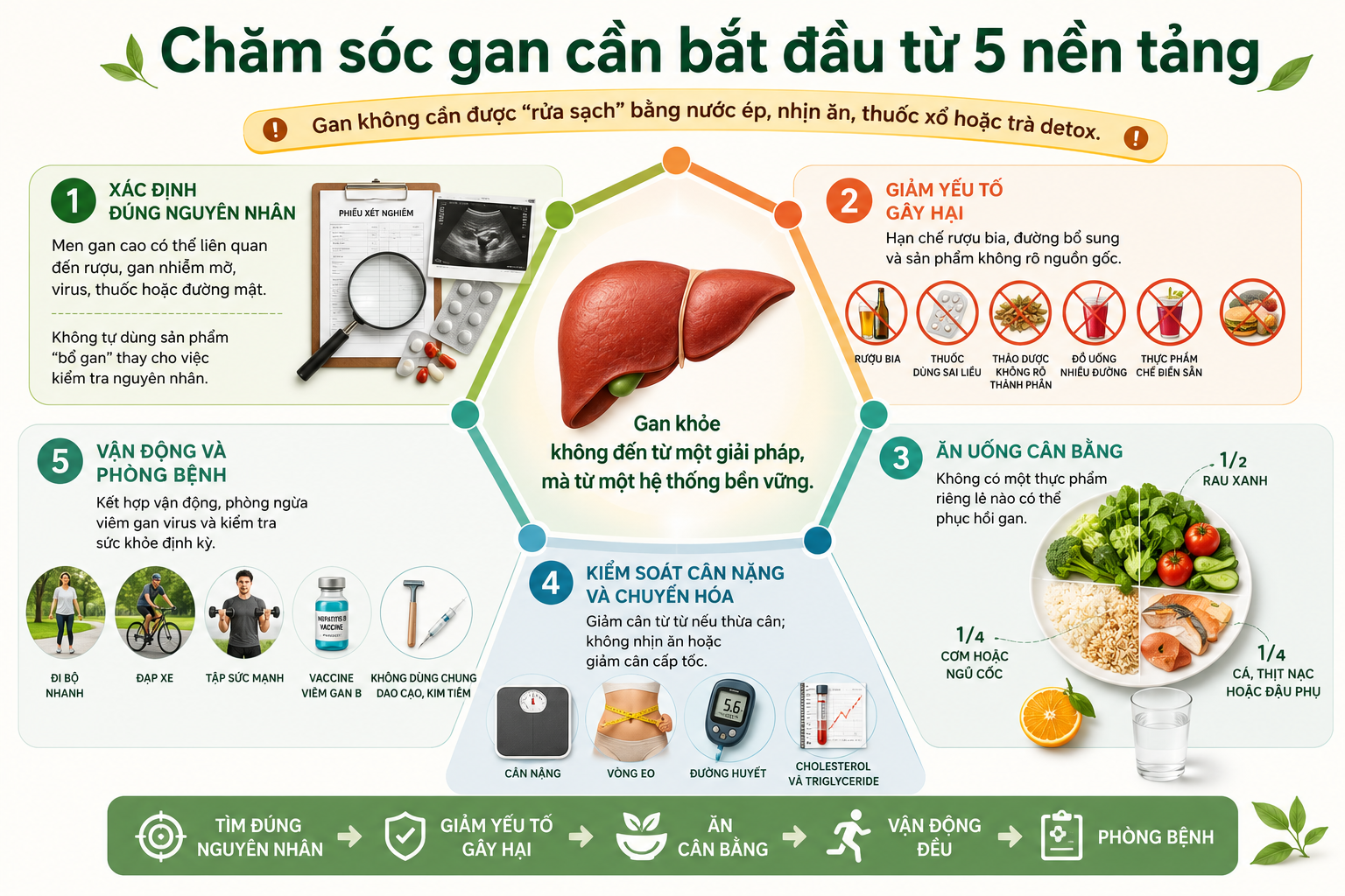 Cải thiện chức năng gan