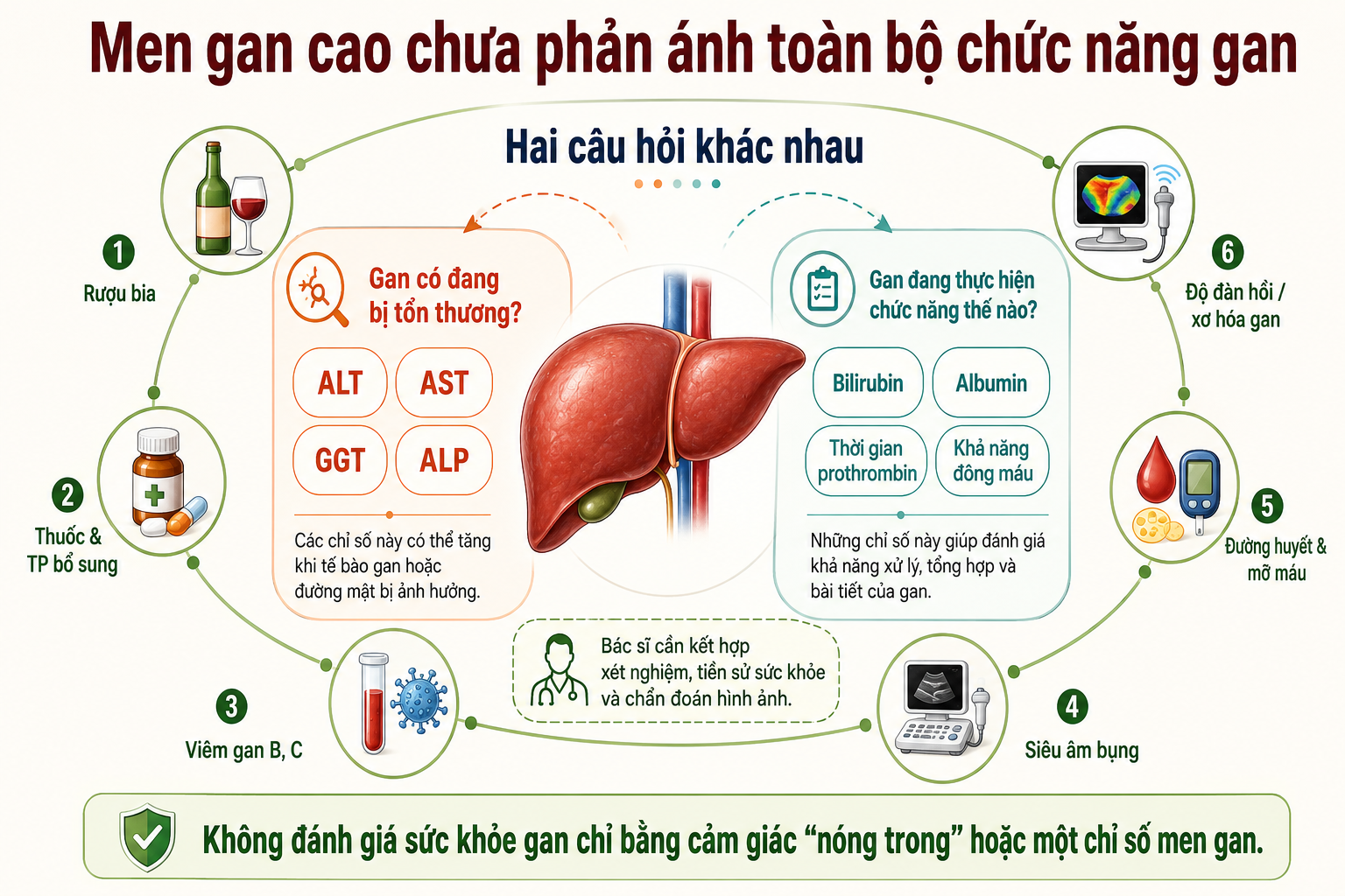 Cải thiện chức năng gan