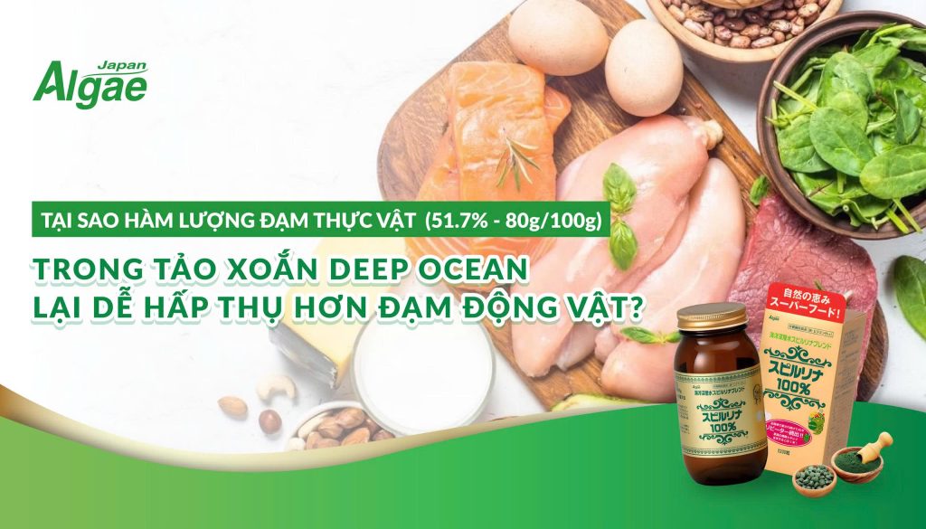 Hình ảnh so sánh khả năng hấp thụ đạm thực vật trong tảo xoắn Deep Ocean với đạm động vật, minh họa bằng thịt, trứng, rau xanh và sản phẩm tảo Algae.
