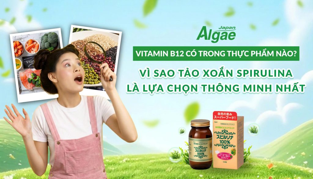 Vitamin B12 có trong thực phẩm nào? Hình minh họa các nguồn vitamin B12 và tảo xoắn Spirulina Japan Algae.