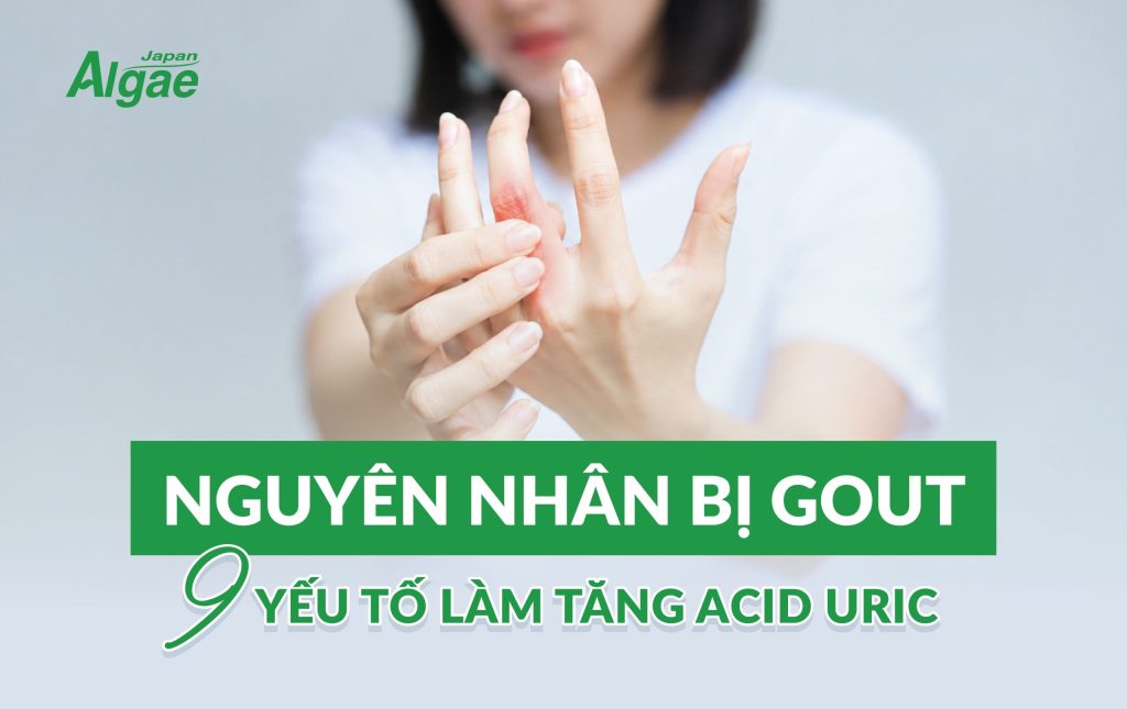 Nguyên nhân bị gout do đâu? 9 yếu tố làm tăng acid uric cần biết