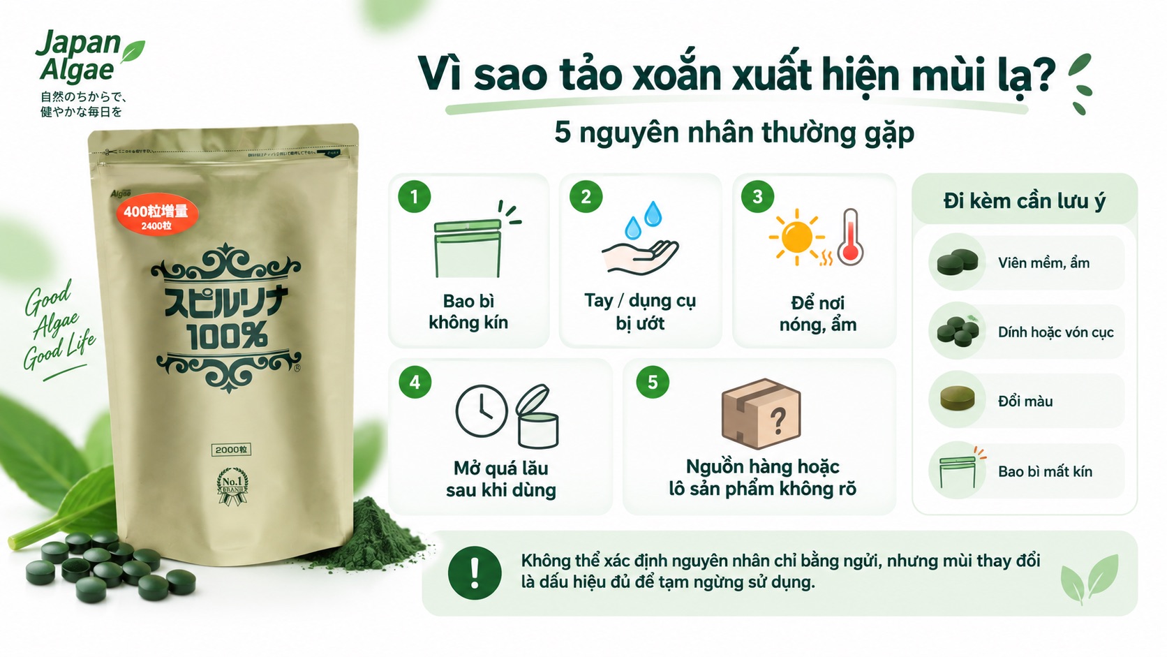 Tảo xoắn có mùi lạ