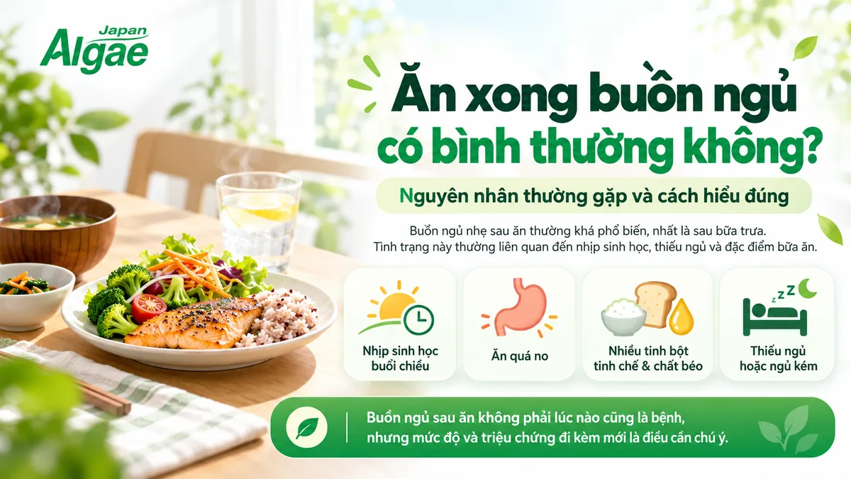 Ăn xong buồn ngủ có bình thường không và các nguyên nhân thường gặp