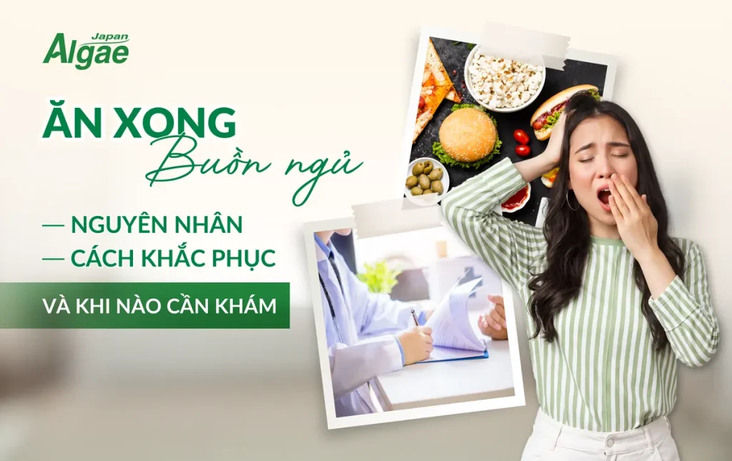 Ăn xong buồn ngủ, nguyên nhân, cách khắc phục và khi nào cần khám