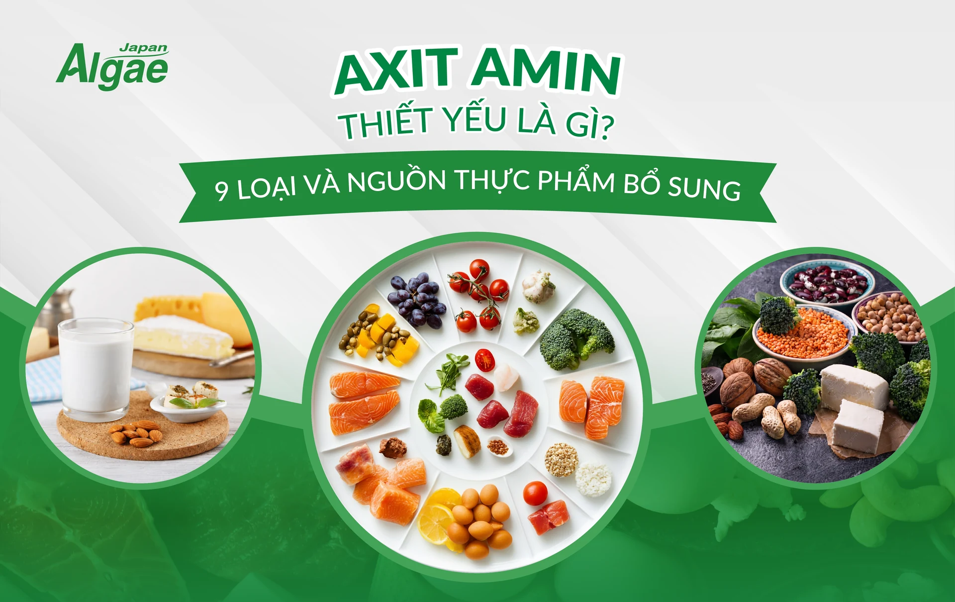 Ảnh đại diện bài viết về axit amin thiết yếu, 9 loại và nguồn thực phẩm