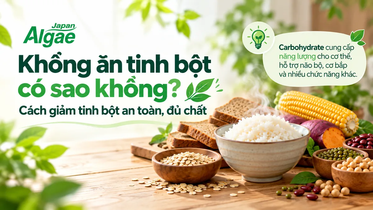 Không ăn tinh bột có sao không và cách giảm tinh bột an toàn