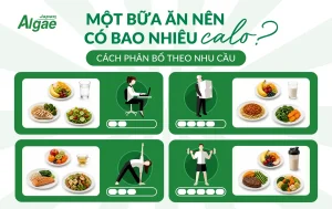 Một bữa ăn nên có bao nhiêu calo và cách phân bổ theo nhu cầu