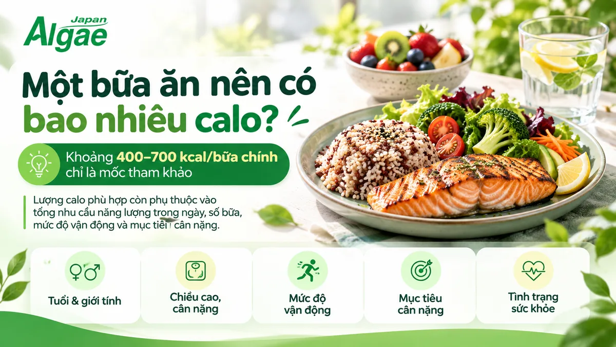 Khoảng 400 đến 700 kcal cho bữa chính chỉ là mốc tham khảo tùy từng người
