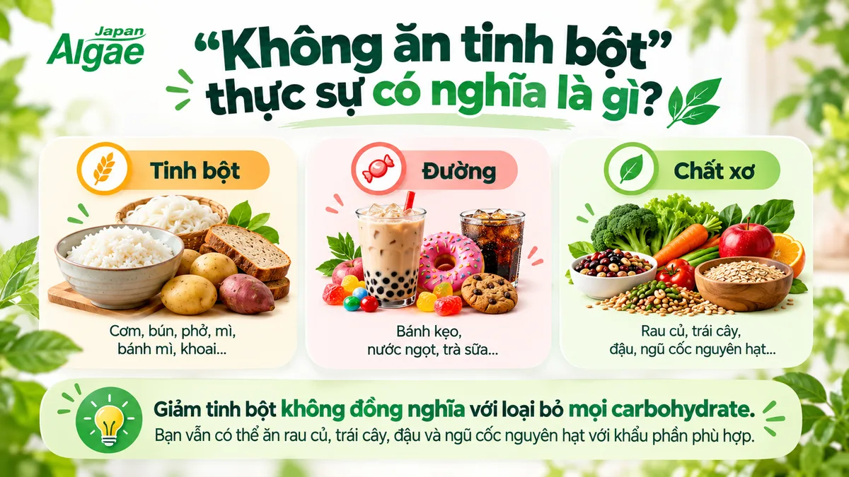 Phân biệt tinh bột, đường và chất xơ trong nhóm carbohydrate
