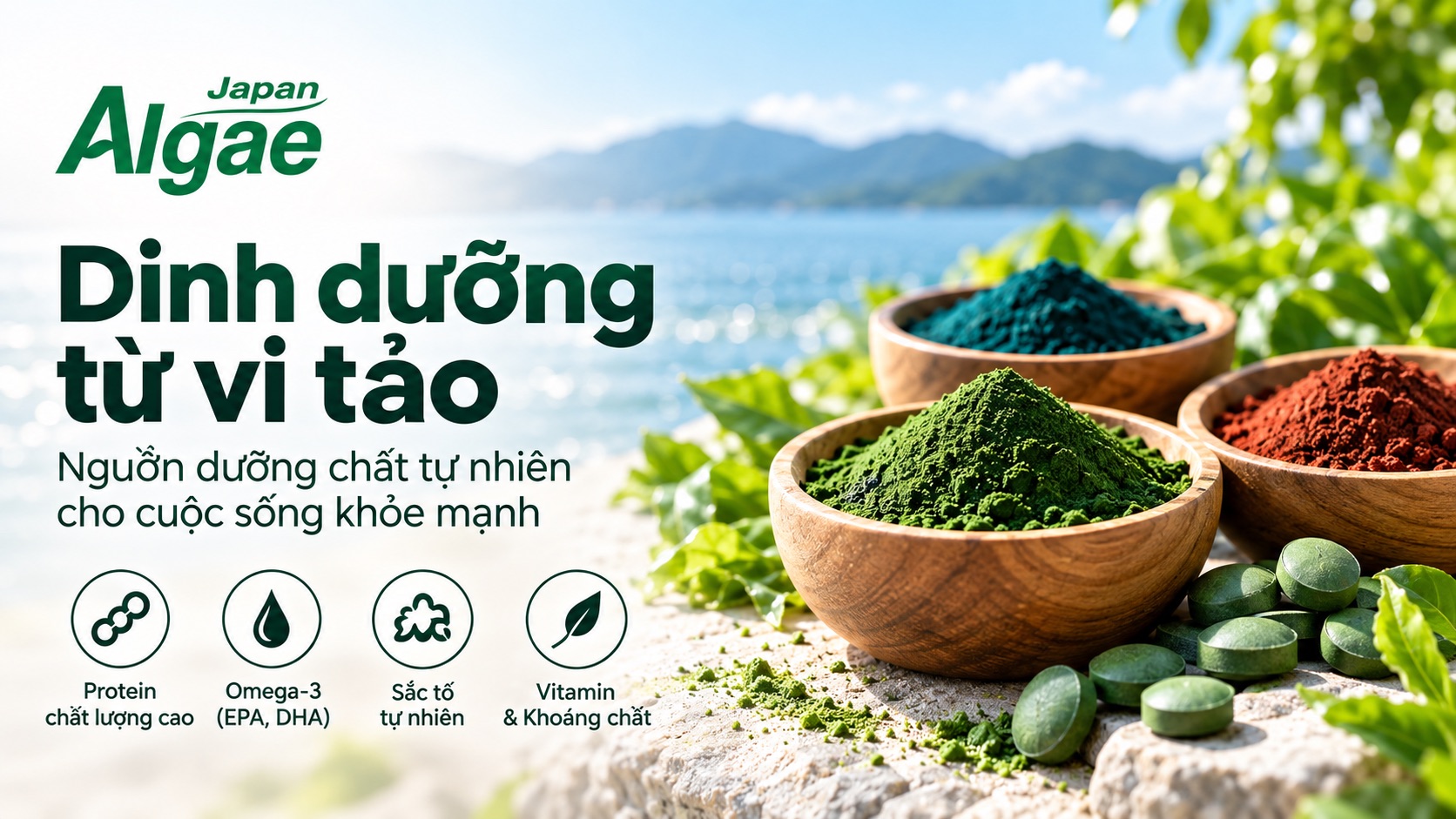vi tảo